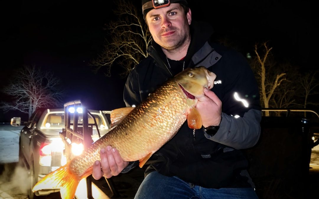 Wintertime Bowfishing for Suckers and Carp
